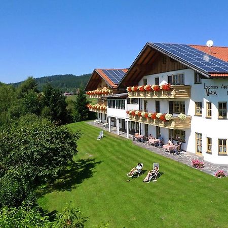 Hotel Landhaus Maria Bed&Breakfast Regen Exteriér fotografie